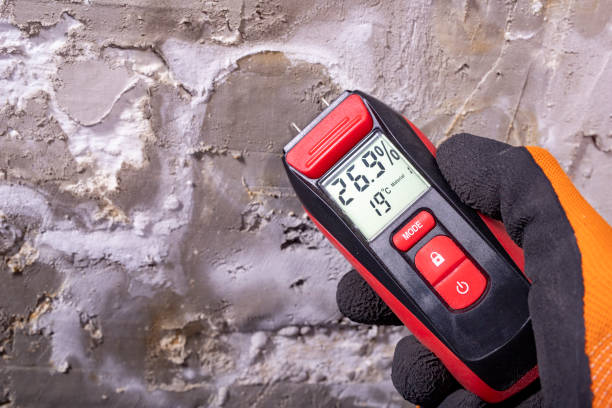 Best Attic Mold Removal  in Everett, MA