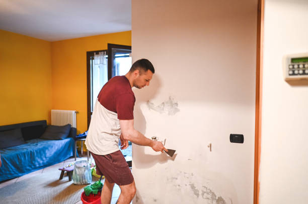 Best Emergency Mold Removal  in Everett, MA